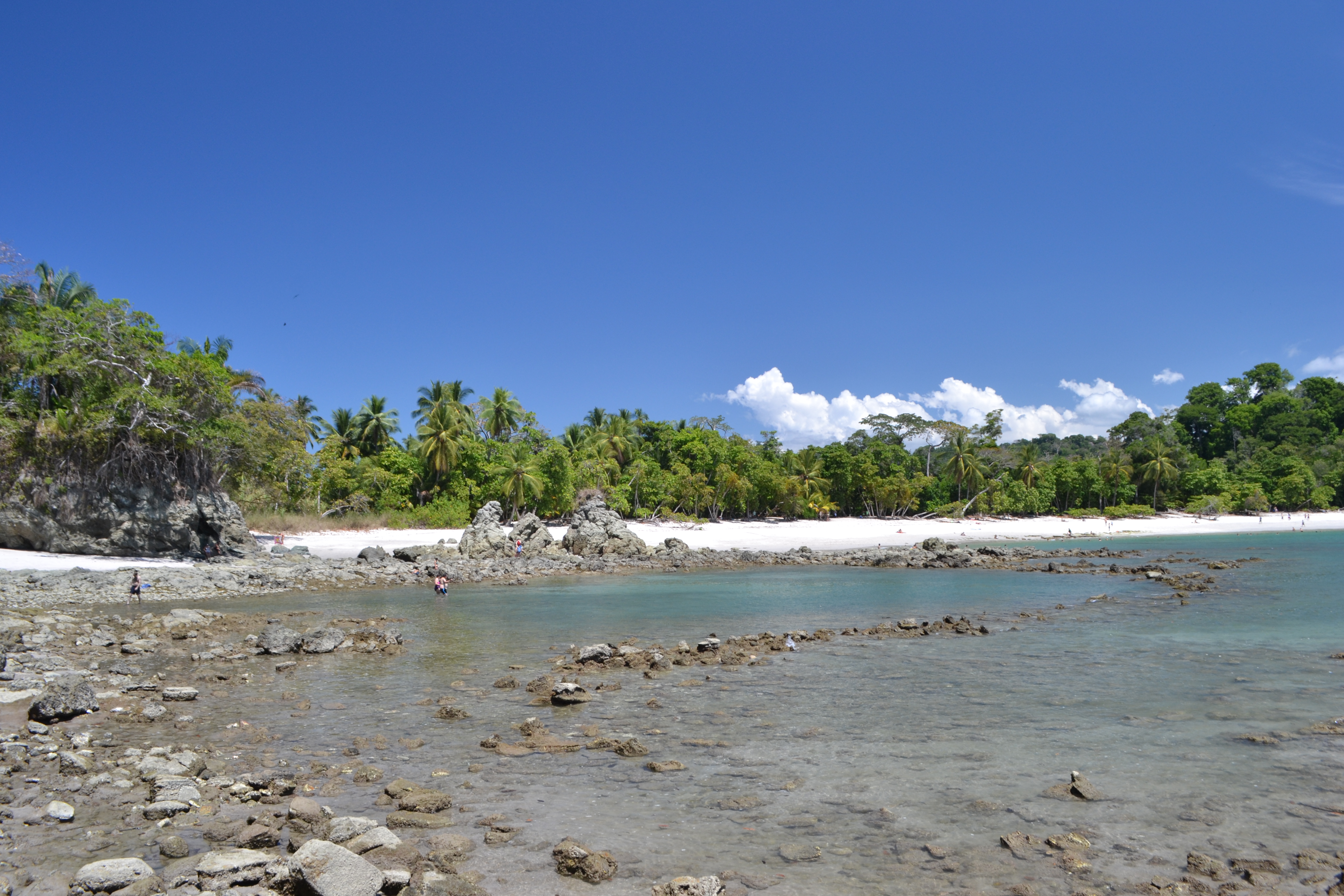 Turning into a Beach Bum in Manuel Antonio - The Wayfarer's Book